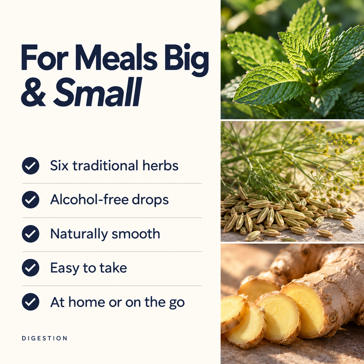 Digestion tincture benefits: six traditional herbs, alcohol-free, naturally smooth, with spearmint, fennel and ginger