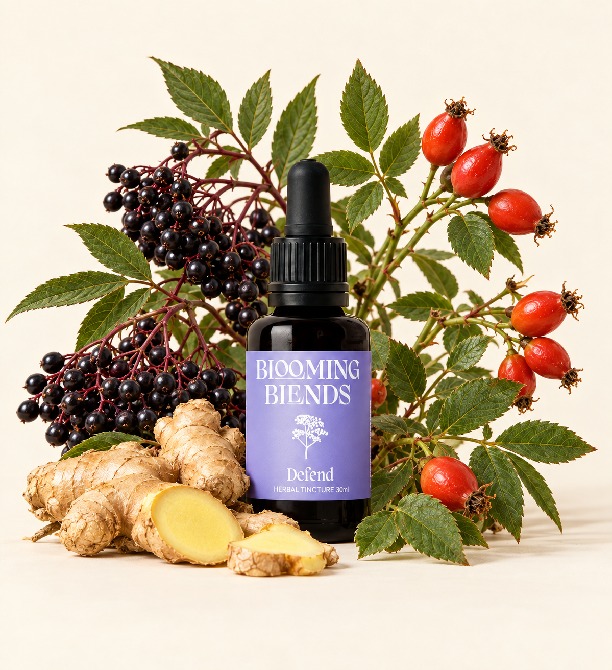 Blooming Blends Defend tincture with elderberries, rose hips and fresh ginger root