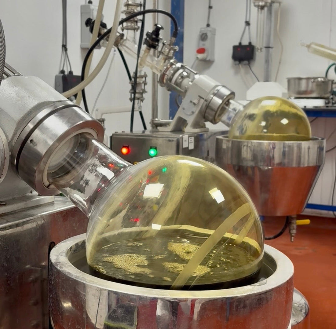 How We Make Our Herbal Drops: The Blooming Blends Process