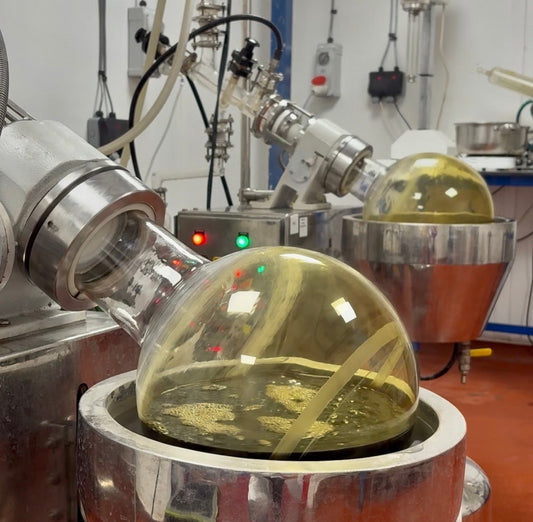 How We Make Our Herbal Drops: The Blooming Blends Process