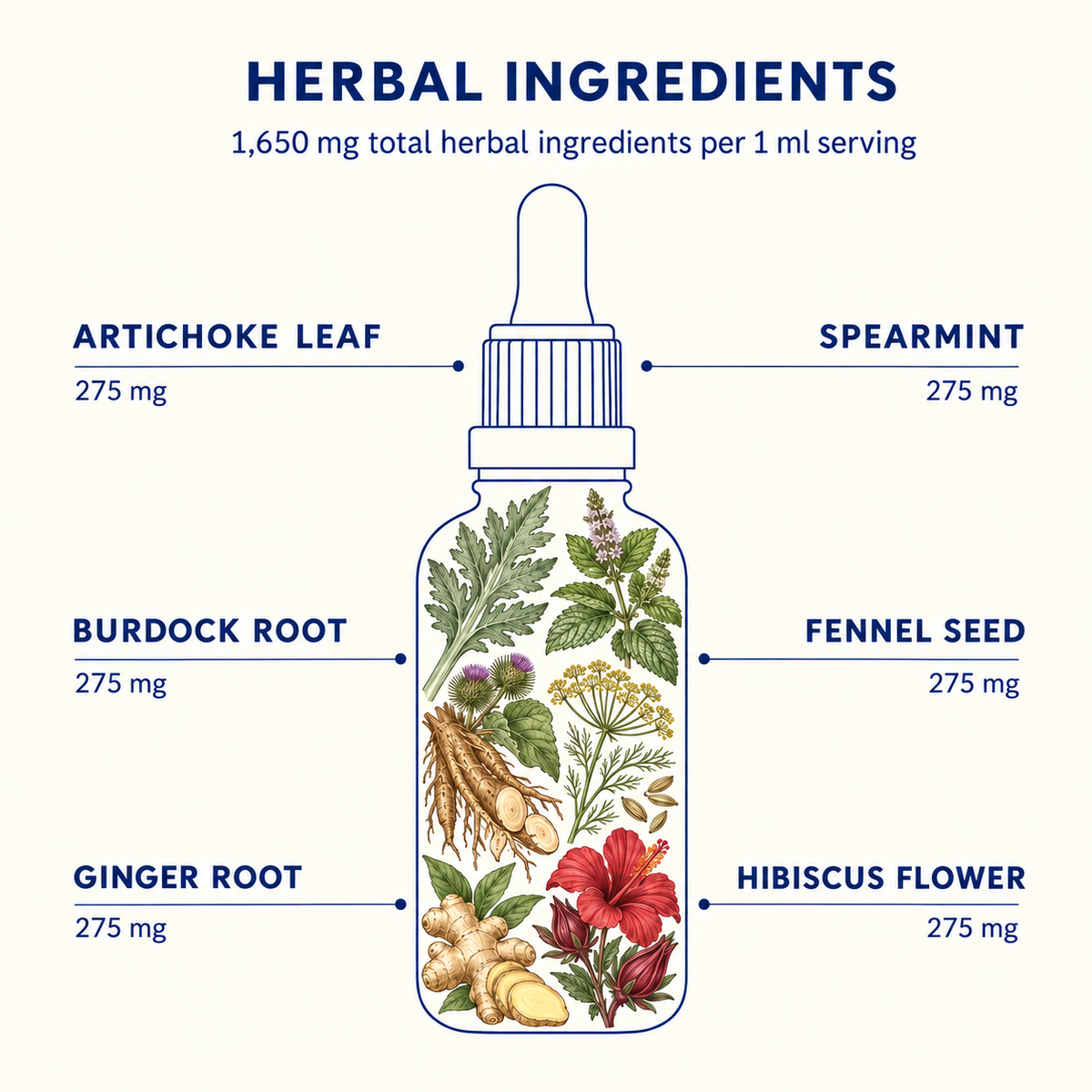 Digestion tincture ingredients: artichoke leaf, spearmint, burdock root, fennel seed, ginger root and hibiscus, 275mg each