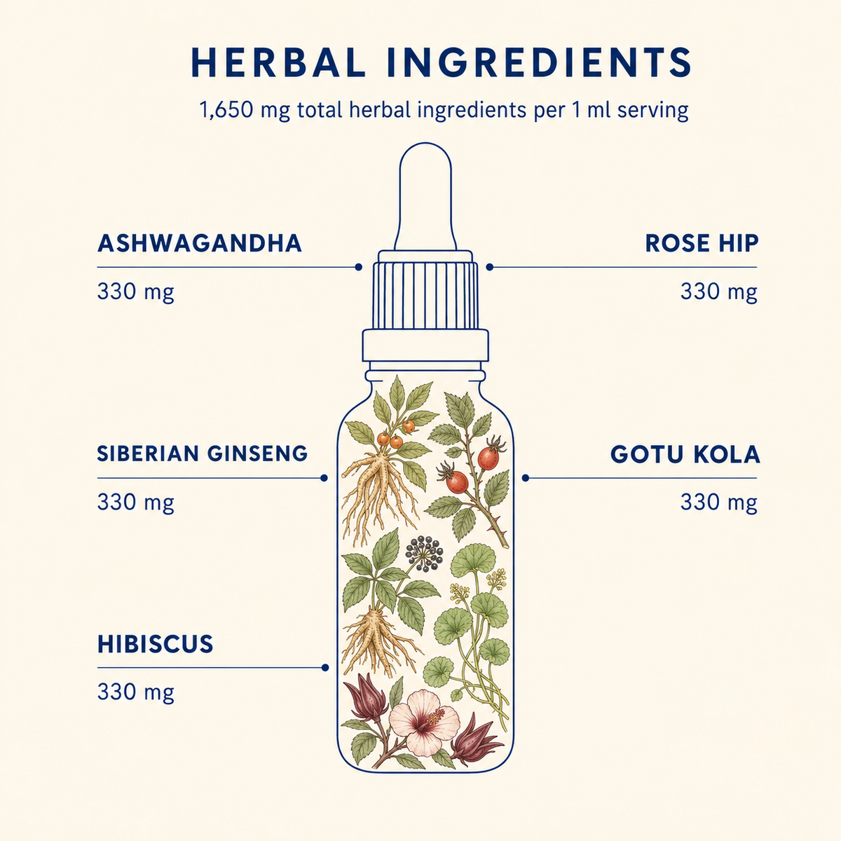 Energy tincture herbal ingredients: ashwagandha, rose hip, Siberian ginseng, gotu kola and hibiscus, 330mg each per 1ml
